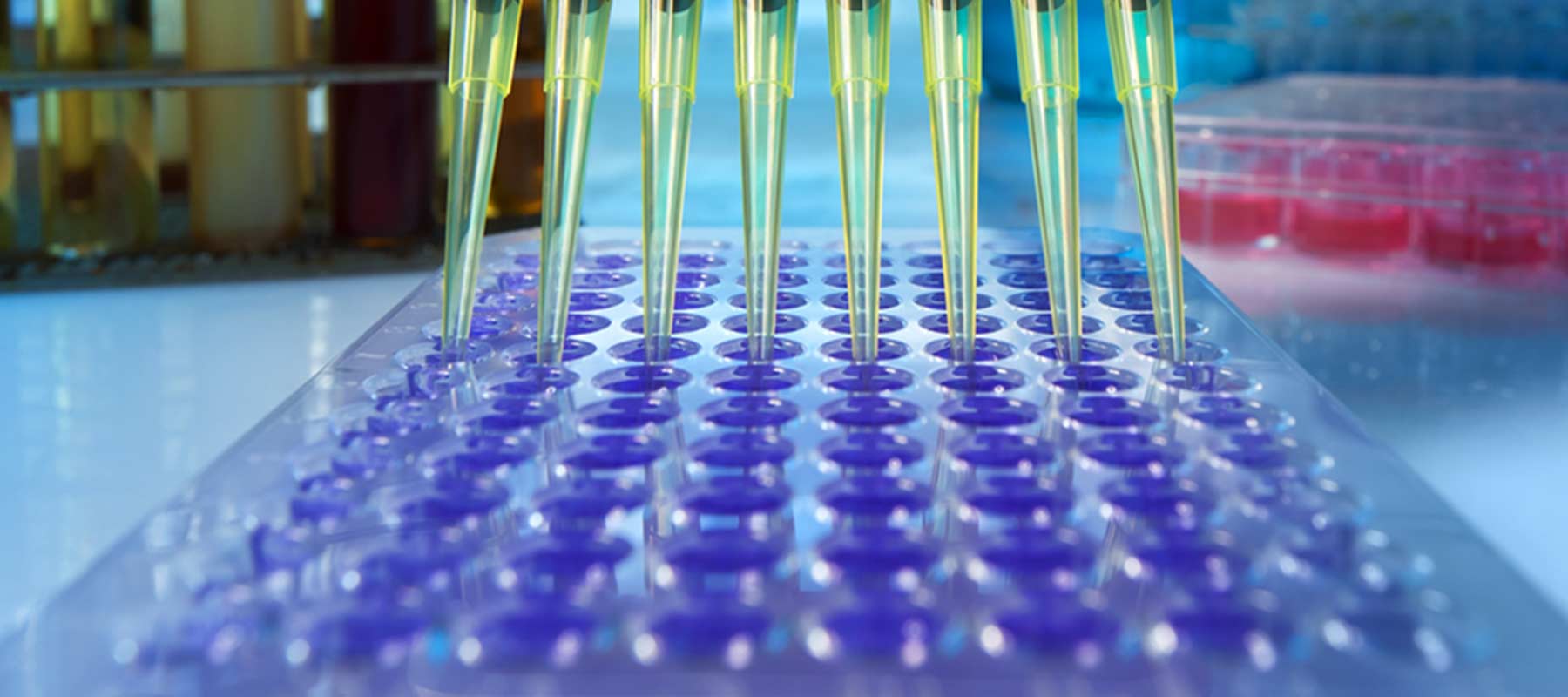 Image of multi-channel pipettor for anrticle on ELISA automation.