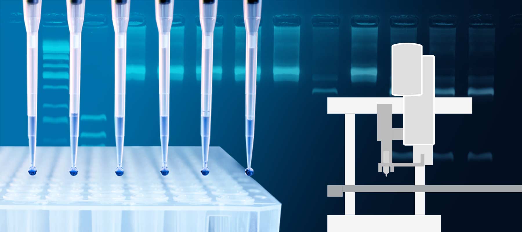 What to look for in Automated PCR