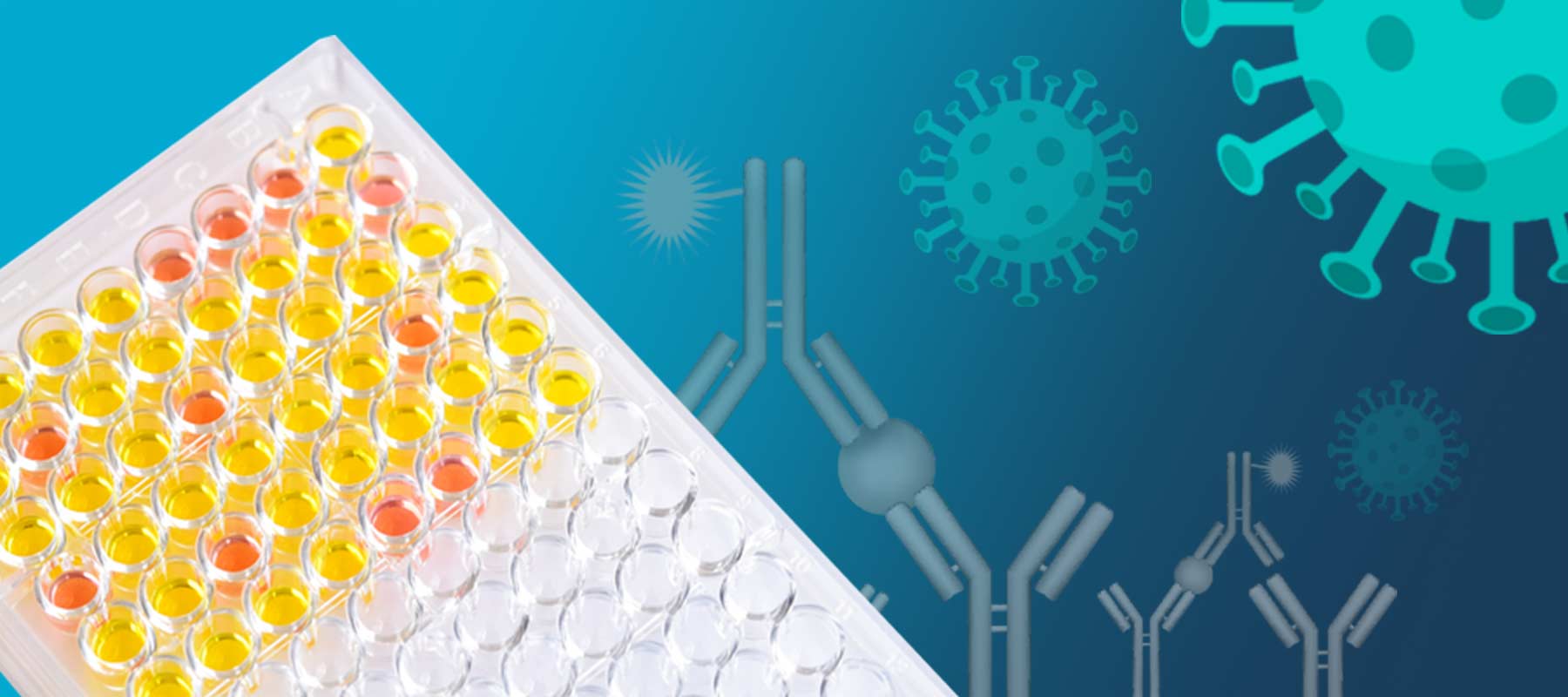 Image of ELISA reaction and microplate for article on elisa plate washer and COVID testing.