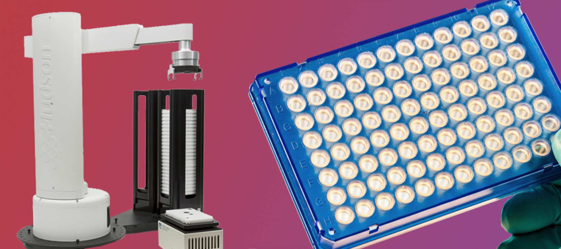 Image of microplate and SOLO arm for article on microplate robot loading.