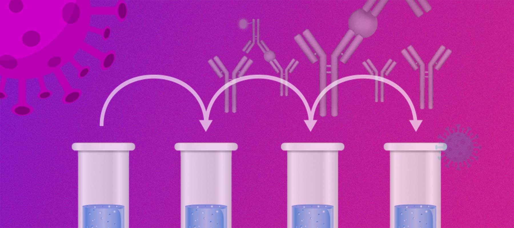 Image for article on Serial Dilution ELISA