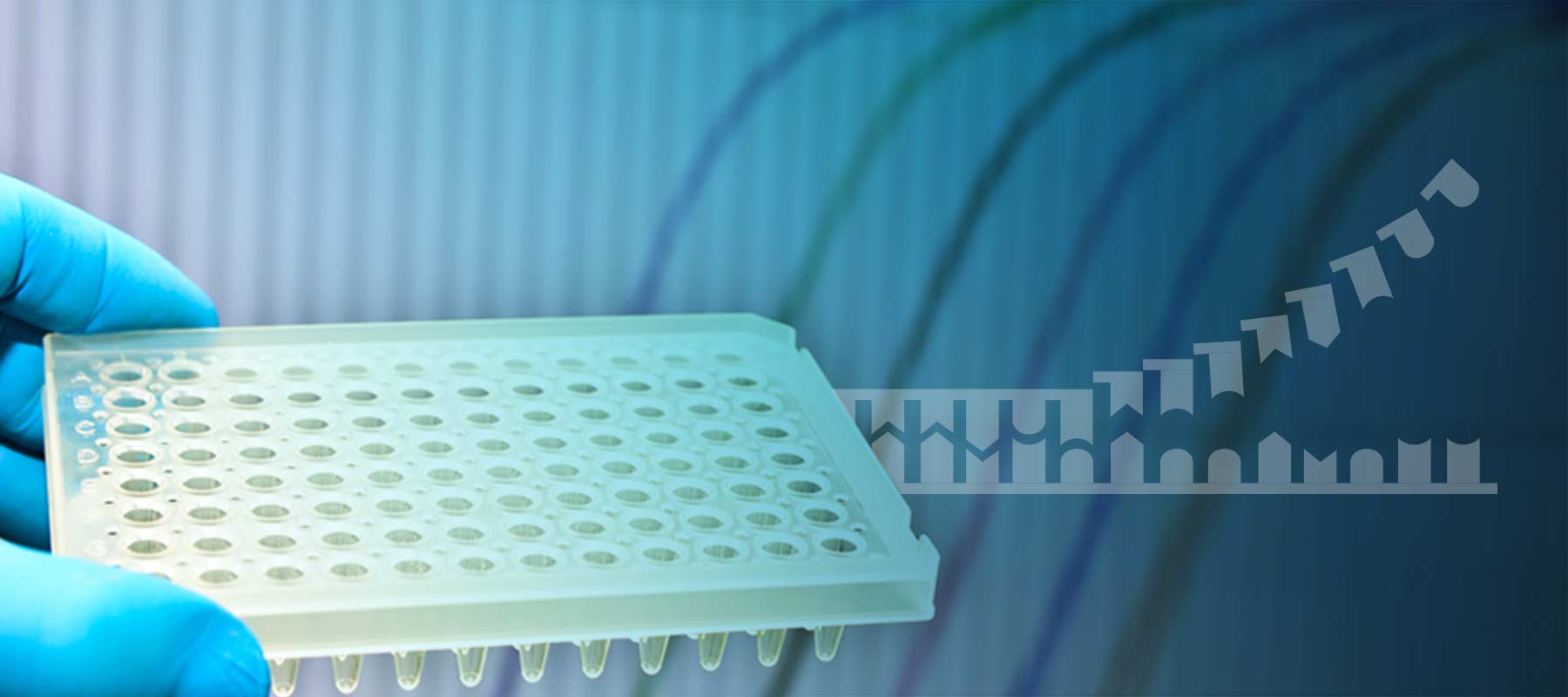 Image of PCR plate and PCR curves for article on qPCR Software.