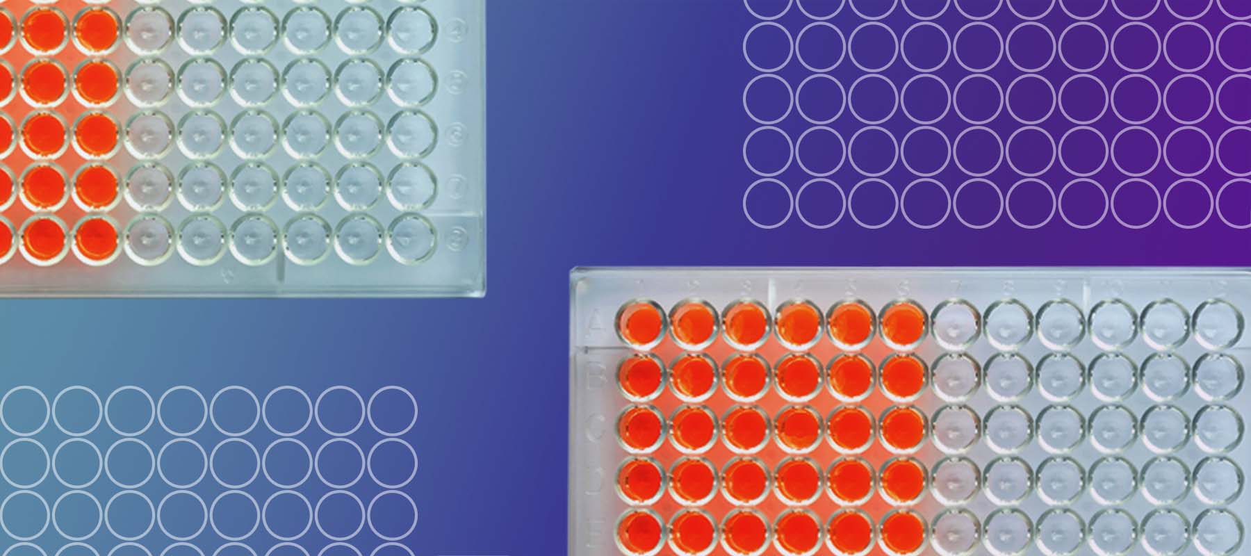 How to Map an ELISA Plate