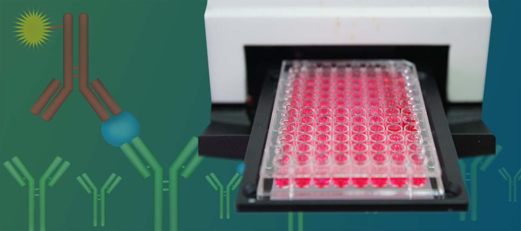 Why use a Fully Automated ELISA Reader