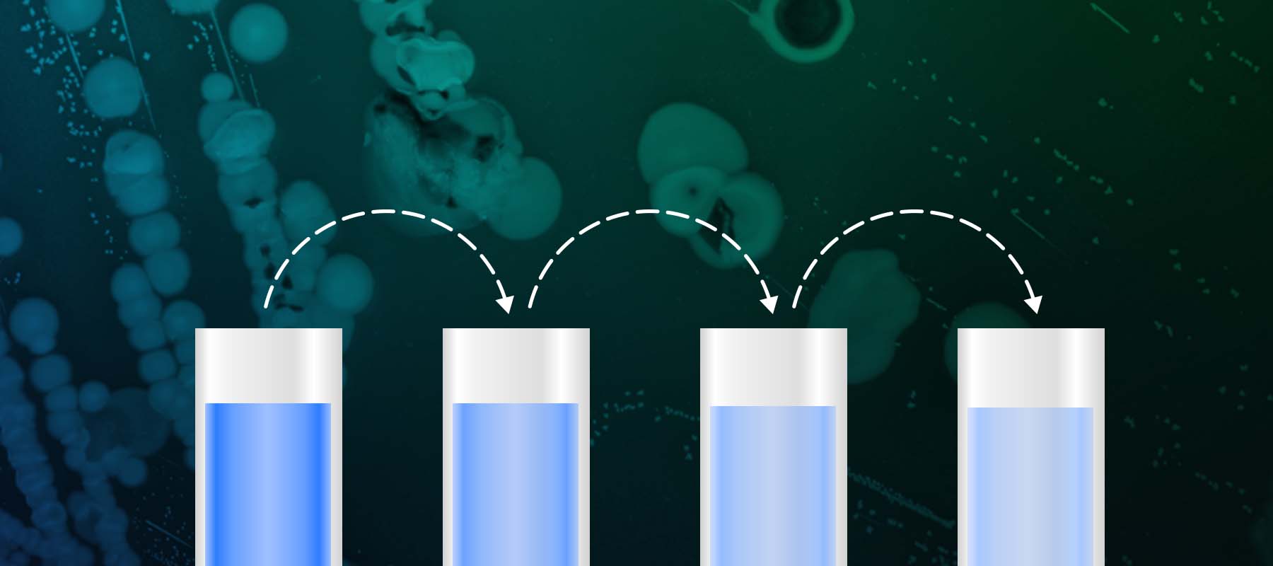 Image of microbes and test tubes for article on serial dilution.