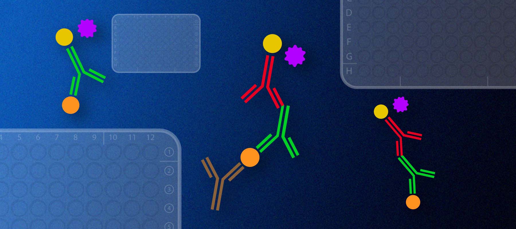 Guide to the Different Types of Elisa