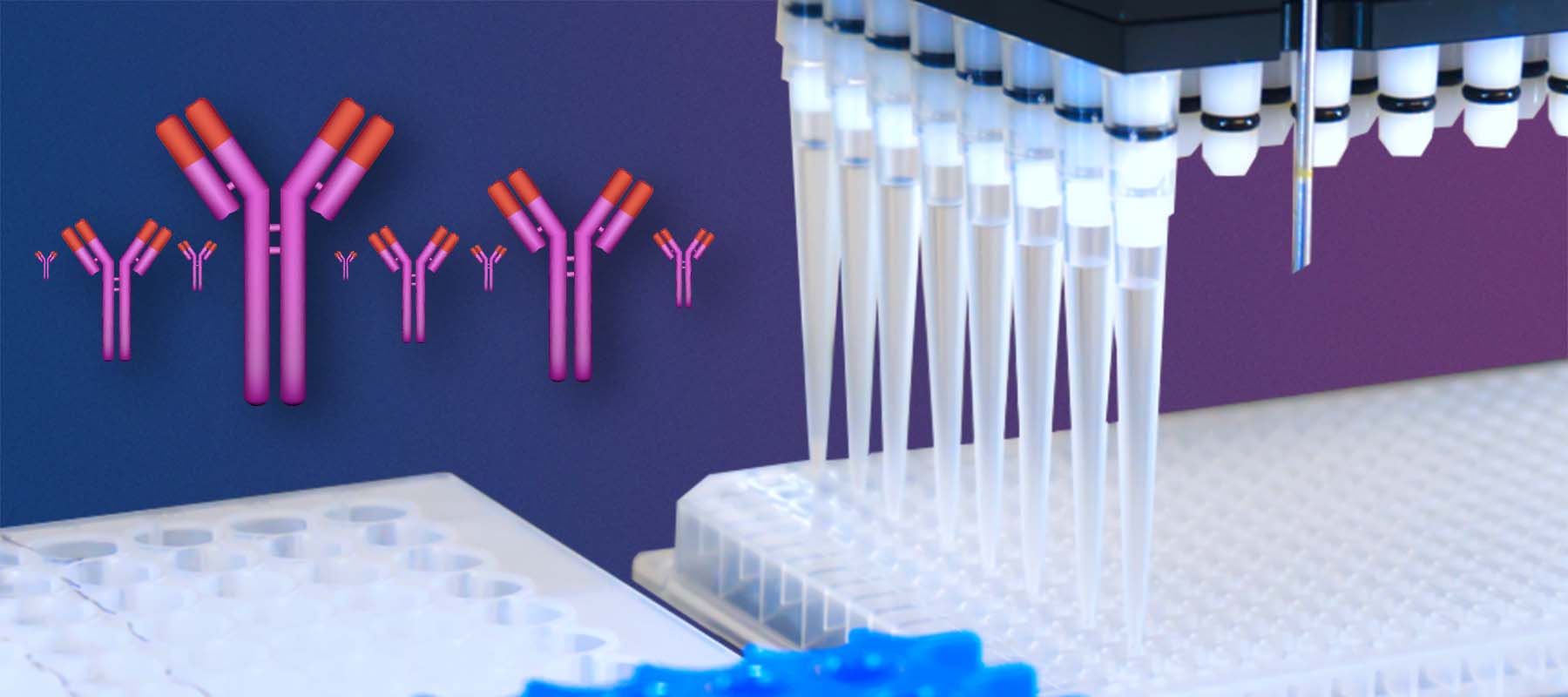 Image of antibodies and microtitre plate for article on automated ELISA.