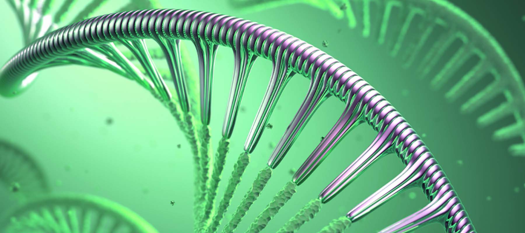 Image of DNA helix for article on synthetic biology.