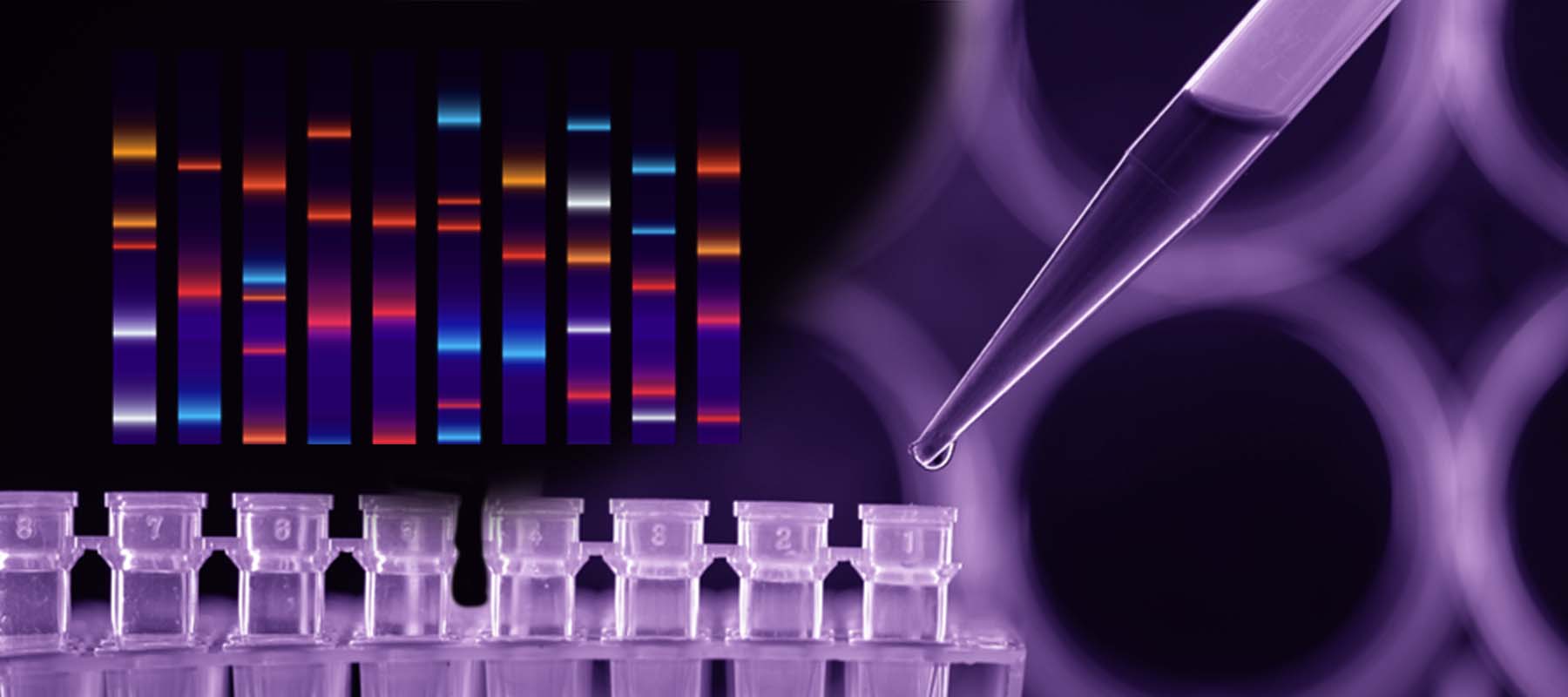 Image of pipette and PCR data for article on automating pcr prep