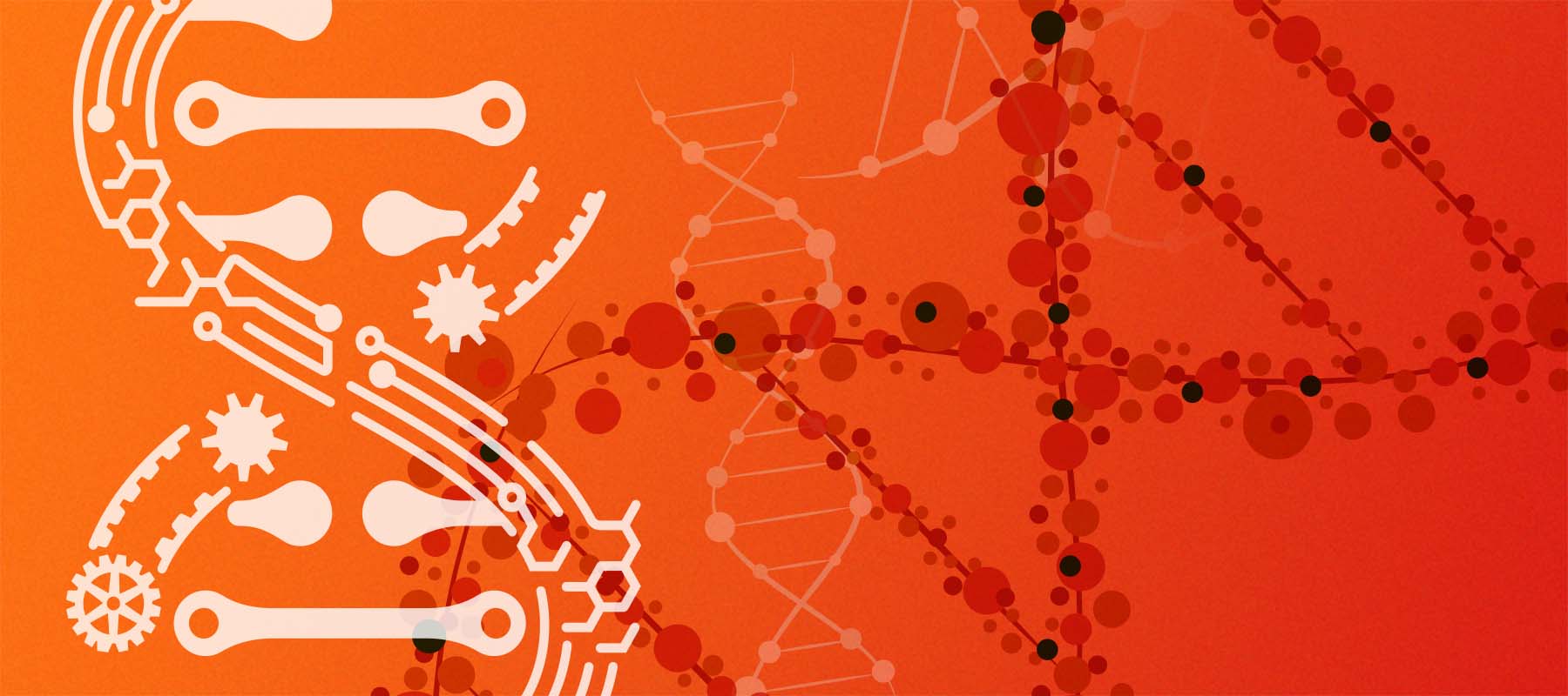 Illustration of DNA helixes for article on history of synthetic biology.