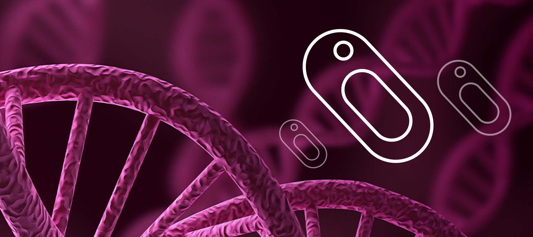 Illustration of DNA and cell vectors fro article on biological transformation.