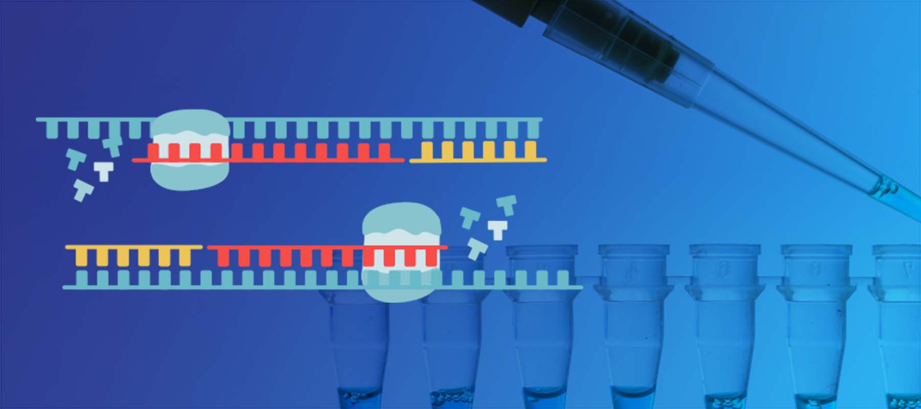 Image of pipette and PCR process for article on PCR test results.