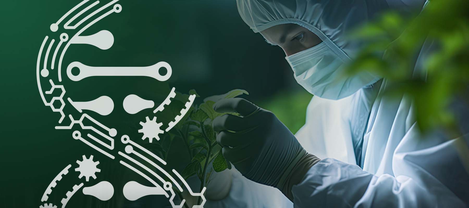 Image of helix and lab worker with plants for article on synthetic biology and agriculture.