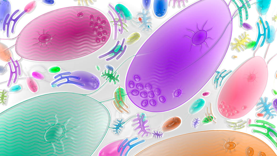 Illustration of colorful cells for article on synthetic biology