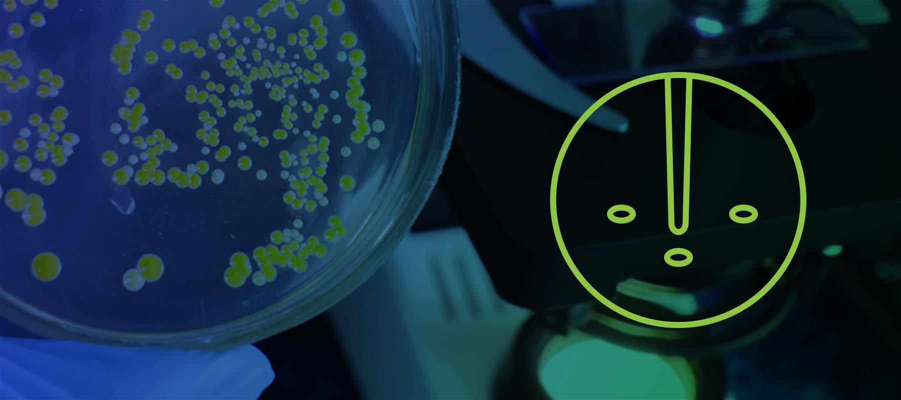 Improving accuracy & Reproducibility w/ Automated Colony Picking