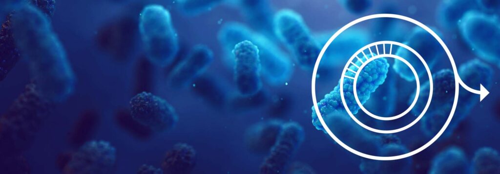 Image of bacterial culture and plasmid for article on plasmid prep.