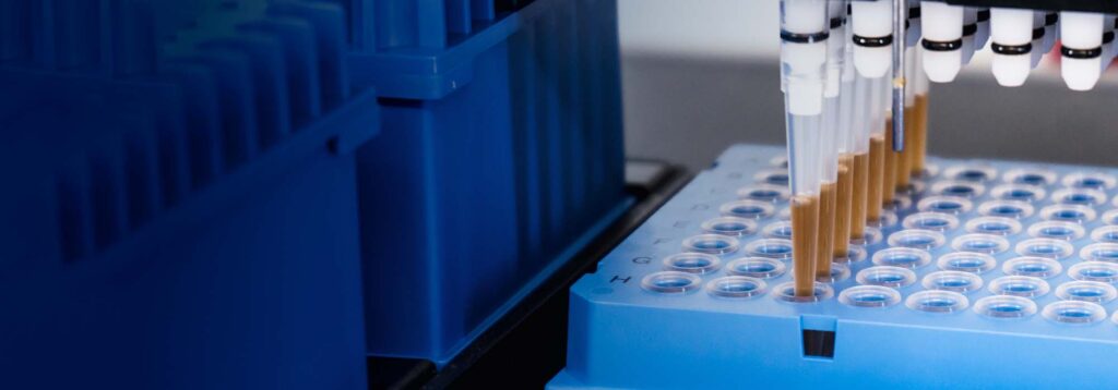 Image of multi-channel pipettor for article on serial dilutions.