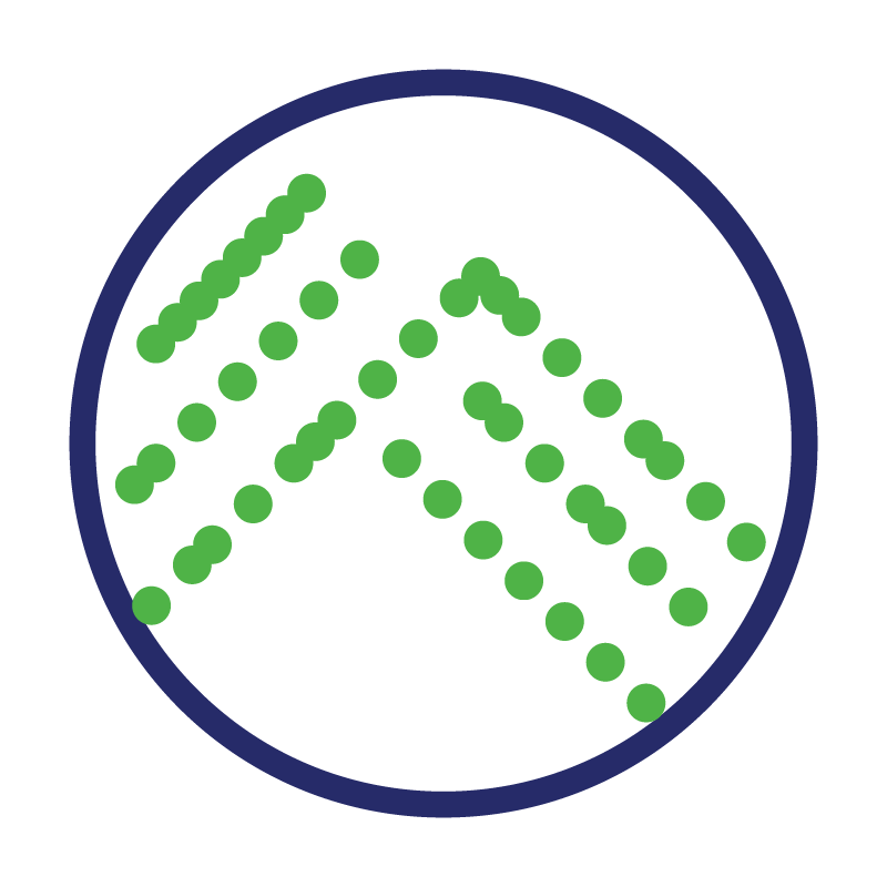 Illustration of bacteria used in colony picking systems.