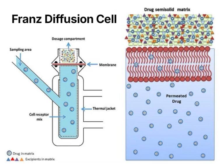Franz Diffusion Cell Diagram